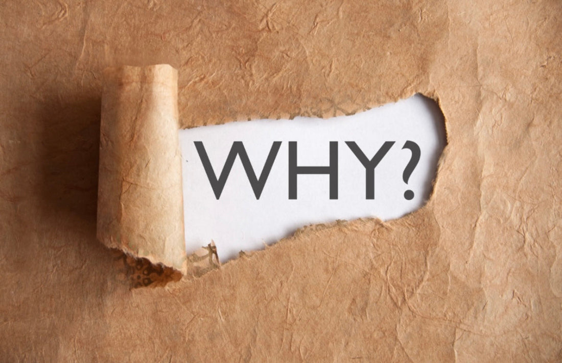 What Is Your Little Why?